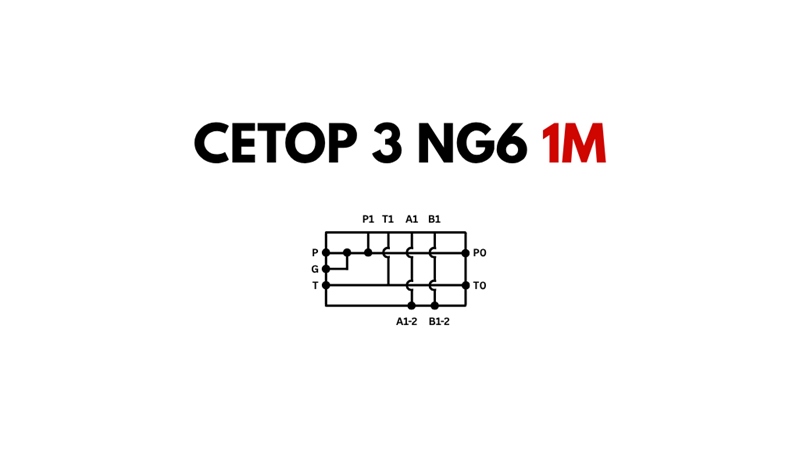 BAAS CETOP3 NG6 1M