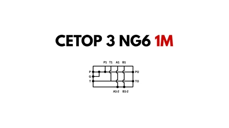 BAAS CETOP3 NG6 1M