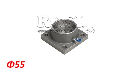 PALL Φ 55 FLANGE'IGA