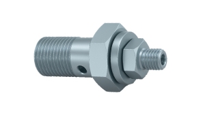 DROSSVELÕÕNES-POLT