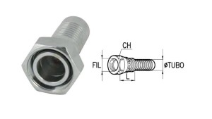 NAISTE-DKOS-ÜHENDUSED