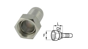 BSP-NAISTE-ÜHENDUSED