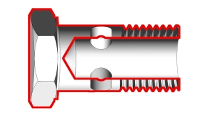 ÕÕNED-POLDID-(TOLLINE)