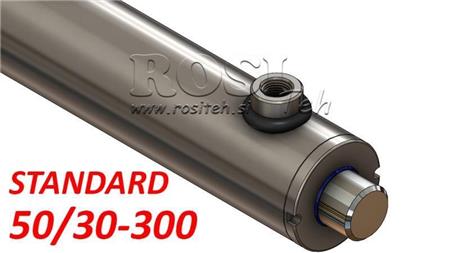 HÜDRAULILINE SILINDER STANDARD 50/30-300