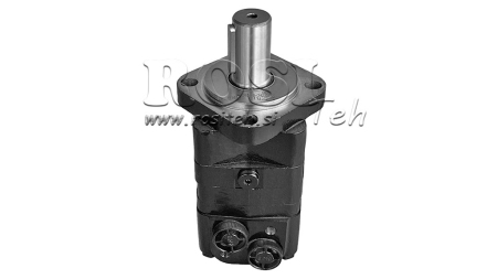 HIDROMOTOR MS 250 ECO (ALSG3-250)
